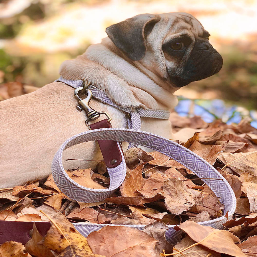 Ladran Gaucho Correa Corcho hecha a mano para perros, , large Imagen numero 2